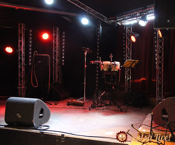 Les bongos sont les premiers en place